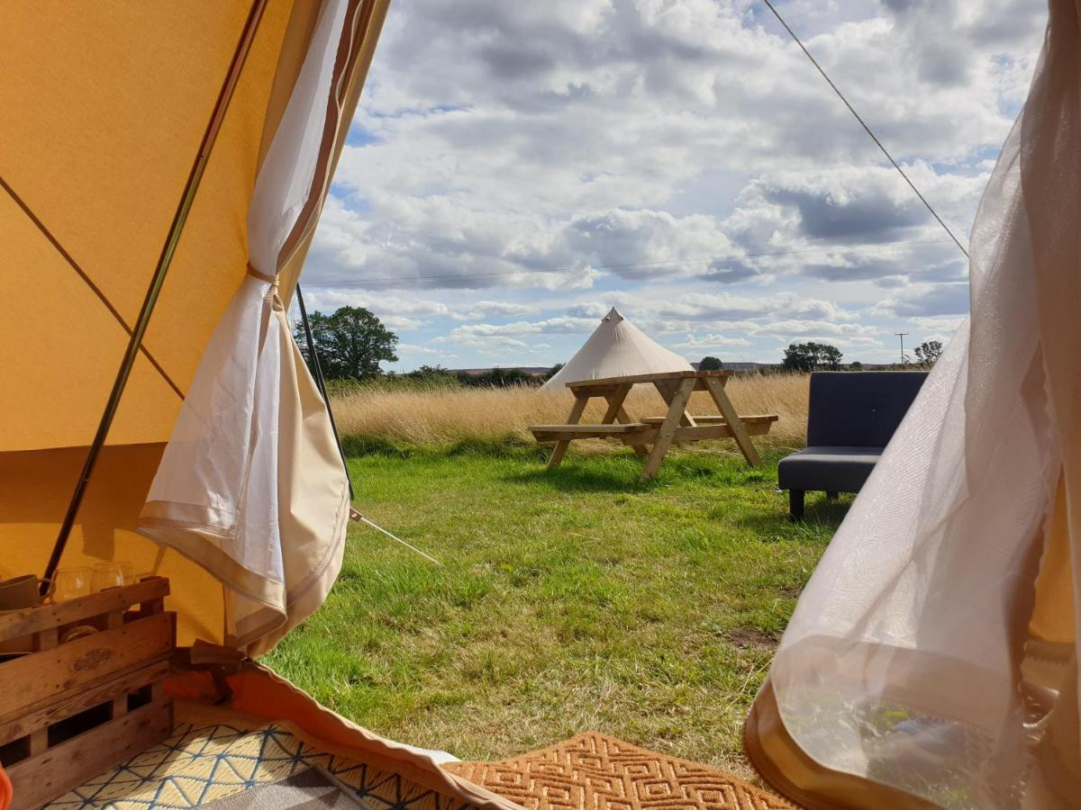 Vila 5M Xl Bell Tent With Log Burner Near Whitby Saltburn-by-the-Sea Exteriér fotografie