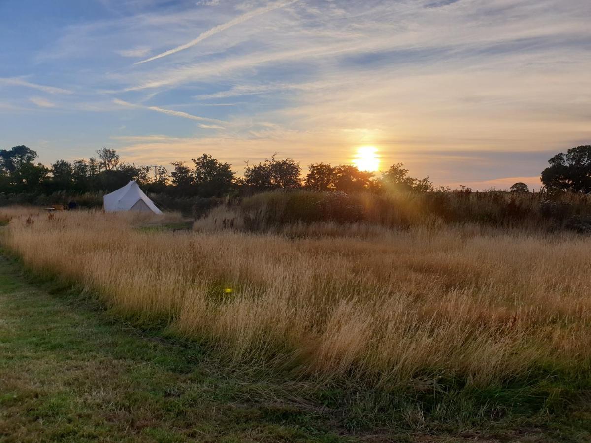 Vila 5M Xl Bell Tent With Log Burner Near Whitby Saltburn-by-the-Sea Exteriér fotografie