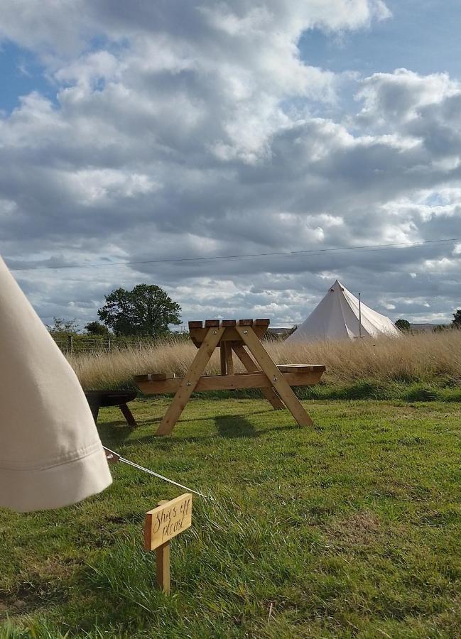 Vila 5M Xl Bell Tent With Log Burner Near Whitby Saltburn-by-the-Sea Exteriér fotografie