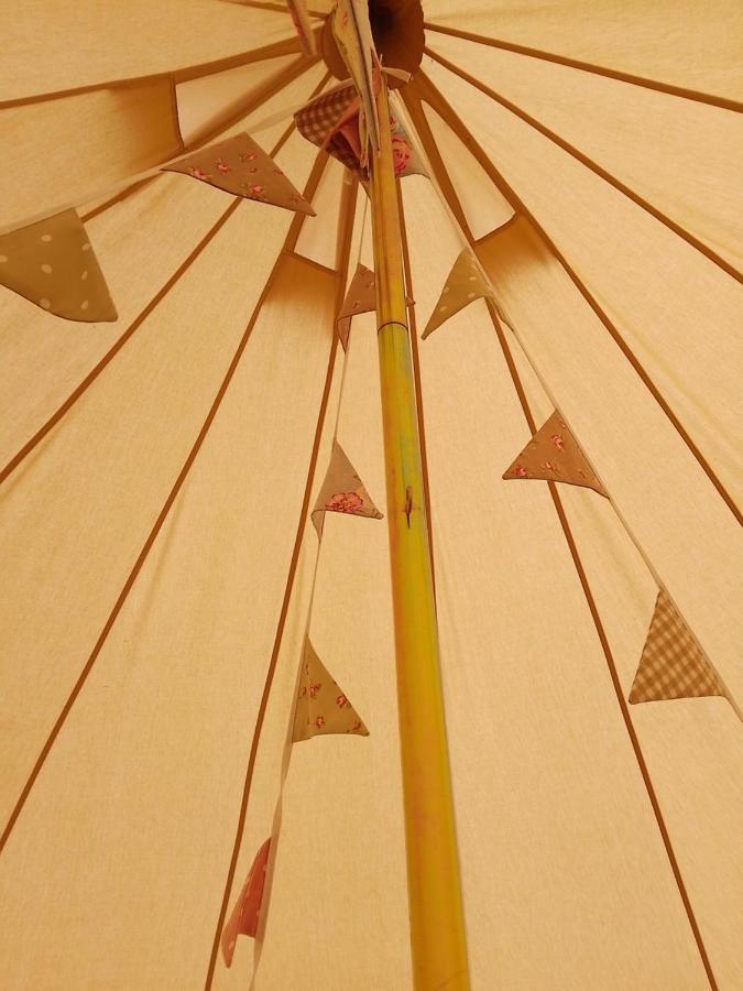 Vila 5M Xl Bell Tent With Log Burner Near Whitby Saltburn-by-the-Sea Exteriér fotografie